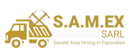 App Logo